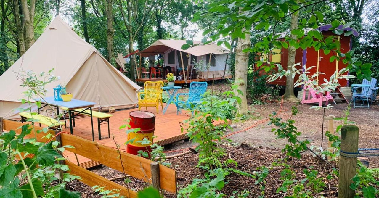 hotel eco camping de helleborus groningen common area