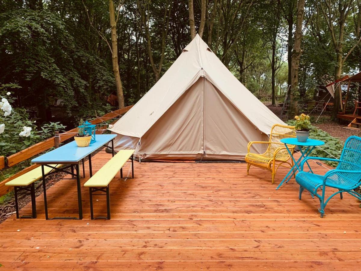hotel eco camping de helleborus groningen tent