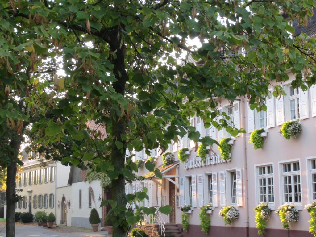 hotel & restaurant grenzhof heidelberg building