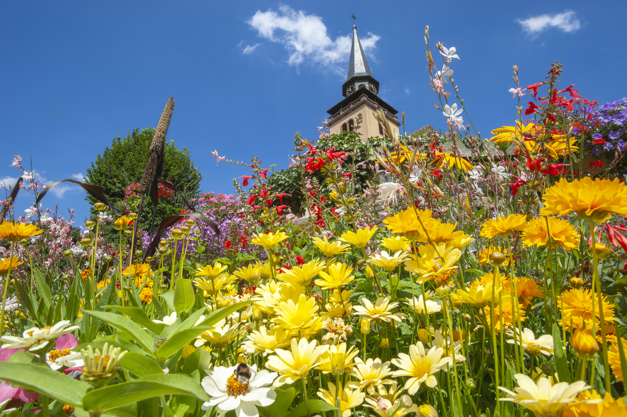 hotel de charme alsace