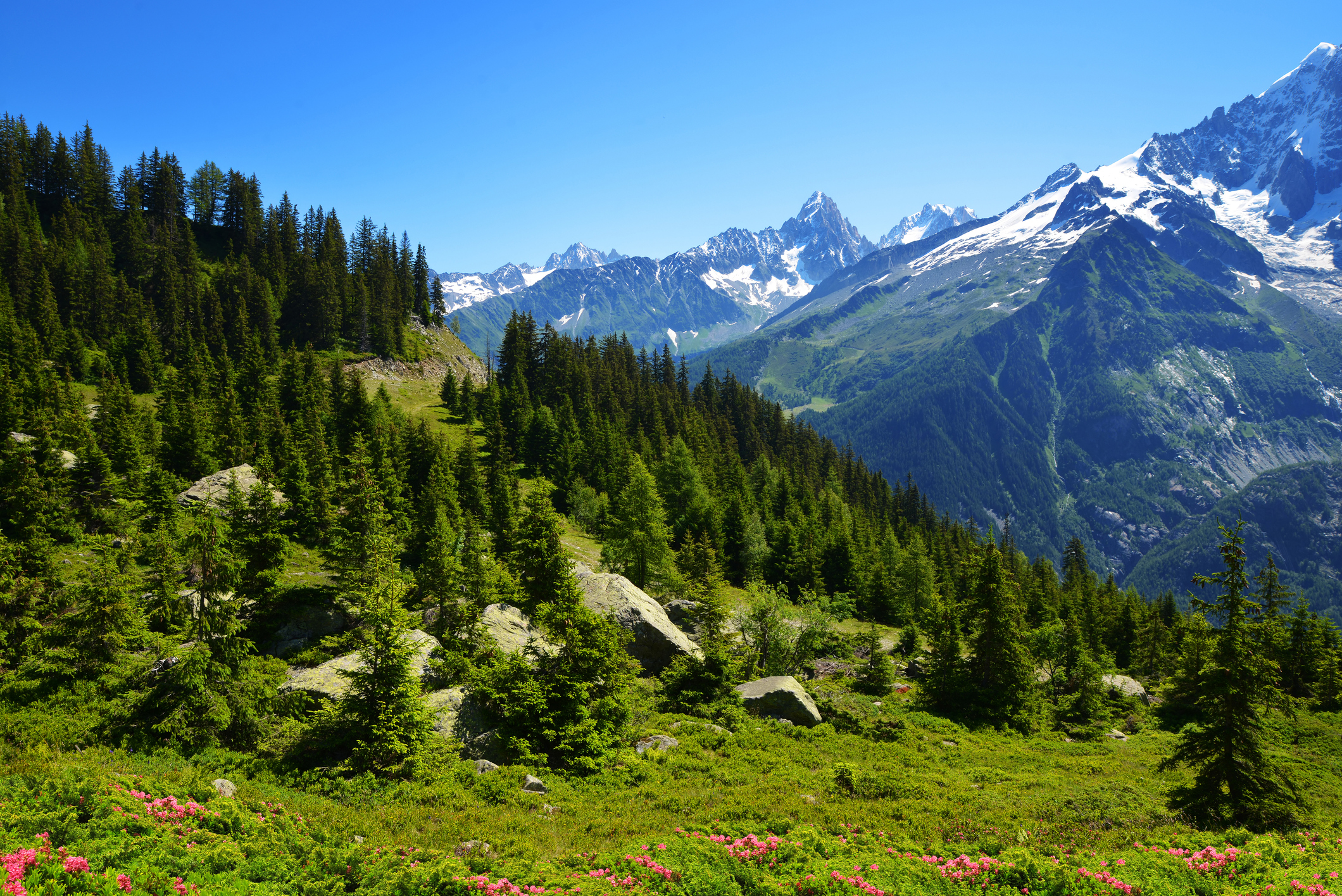 hotels de charme alpes francaises 