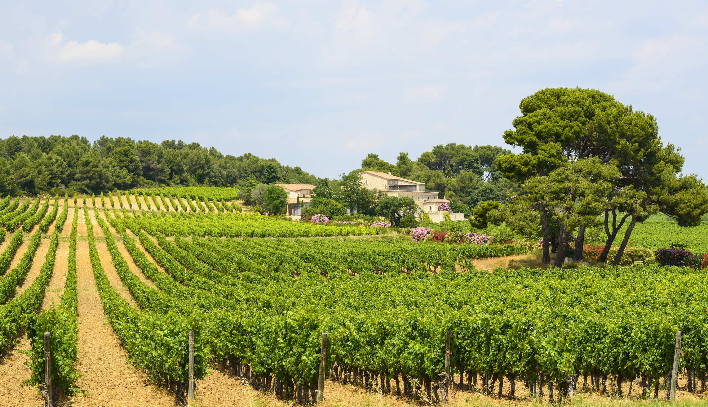 chateau hotel languedoc roussillon