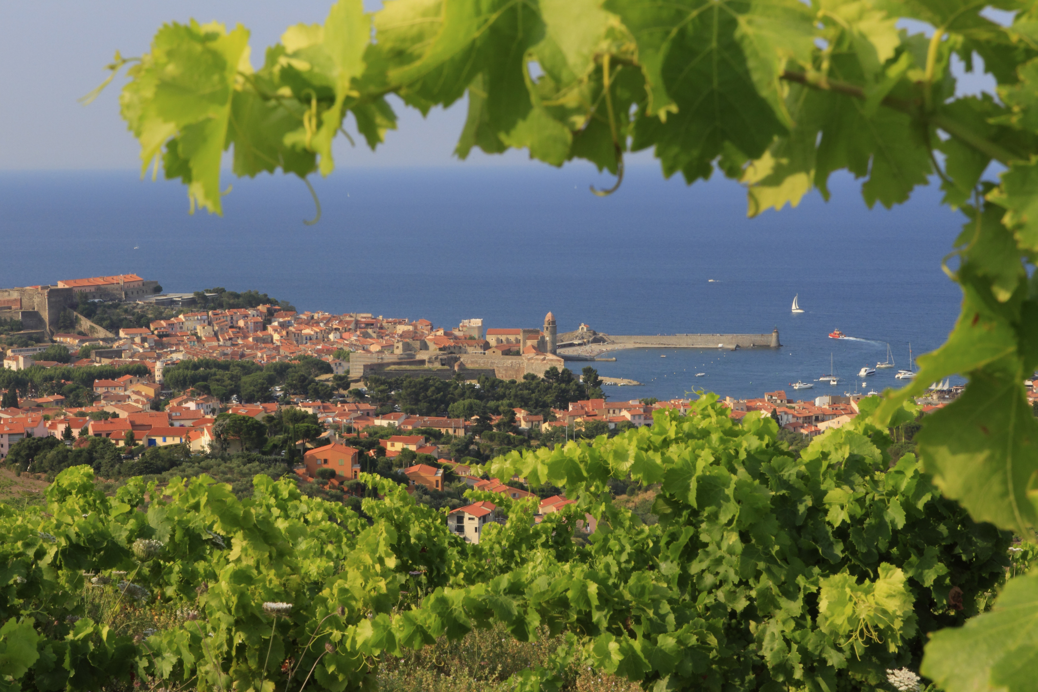 hotel languedoc roussillon bord de mer