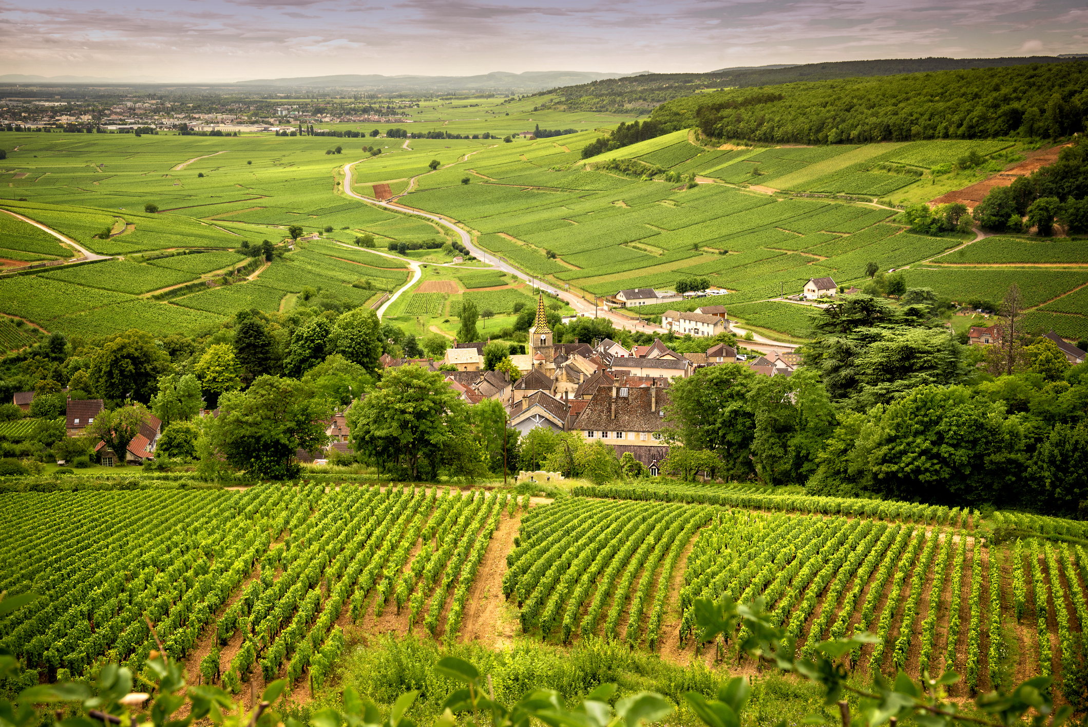 hotel bourgogne