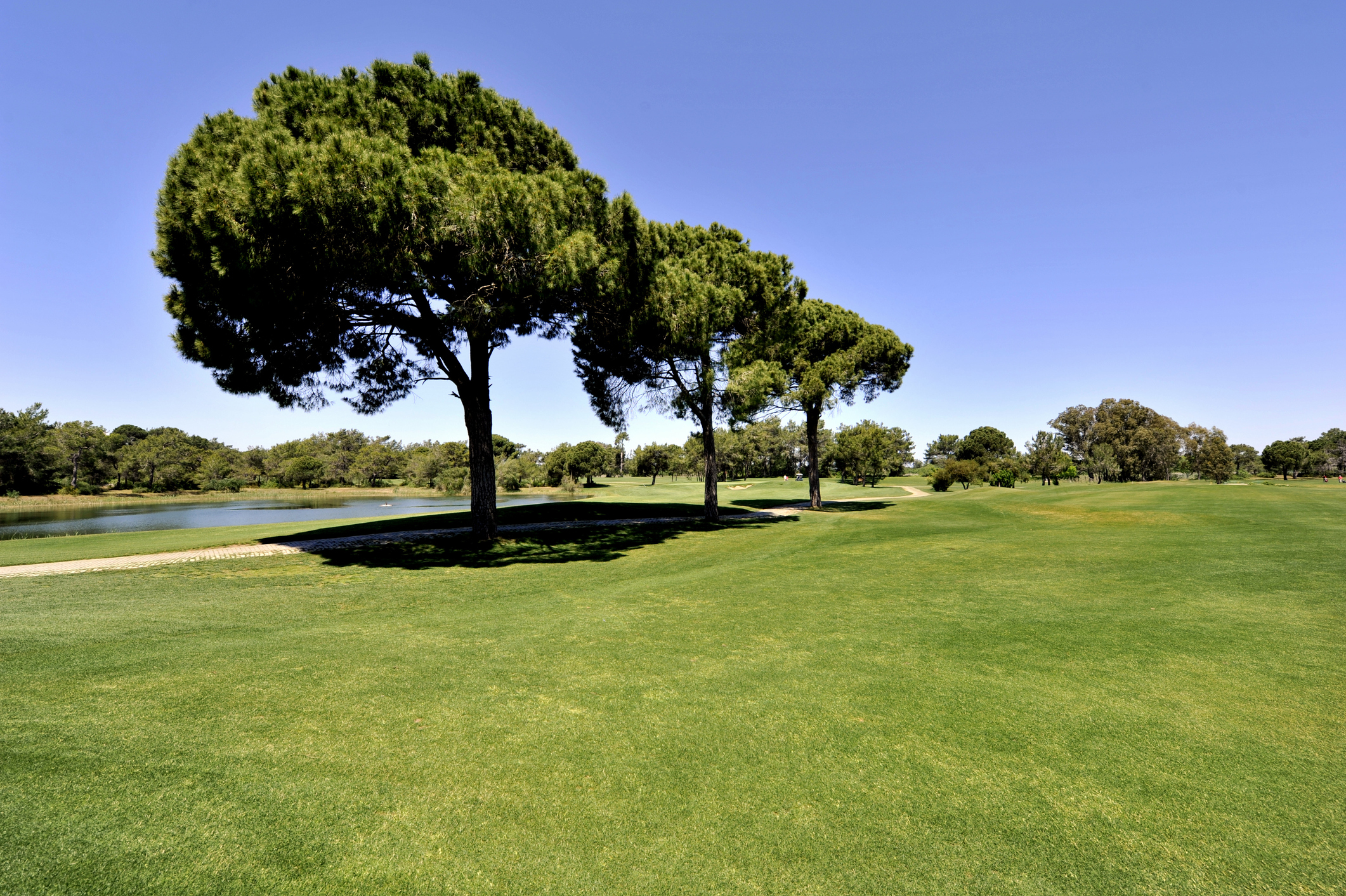 hotel du golf cap d'agde